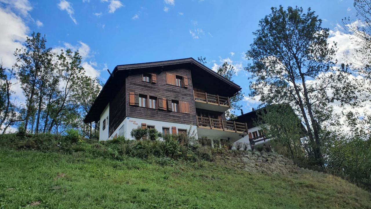 Chalet Carpe Diem Fieschertal エクステリア 写真