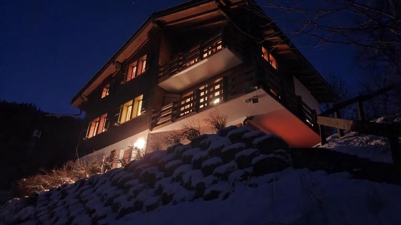 Chalet Carpe Diem Fieschertal エクステリア 写真