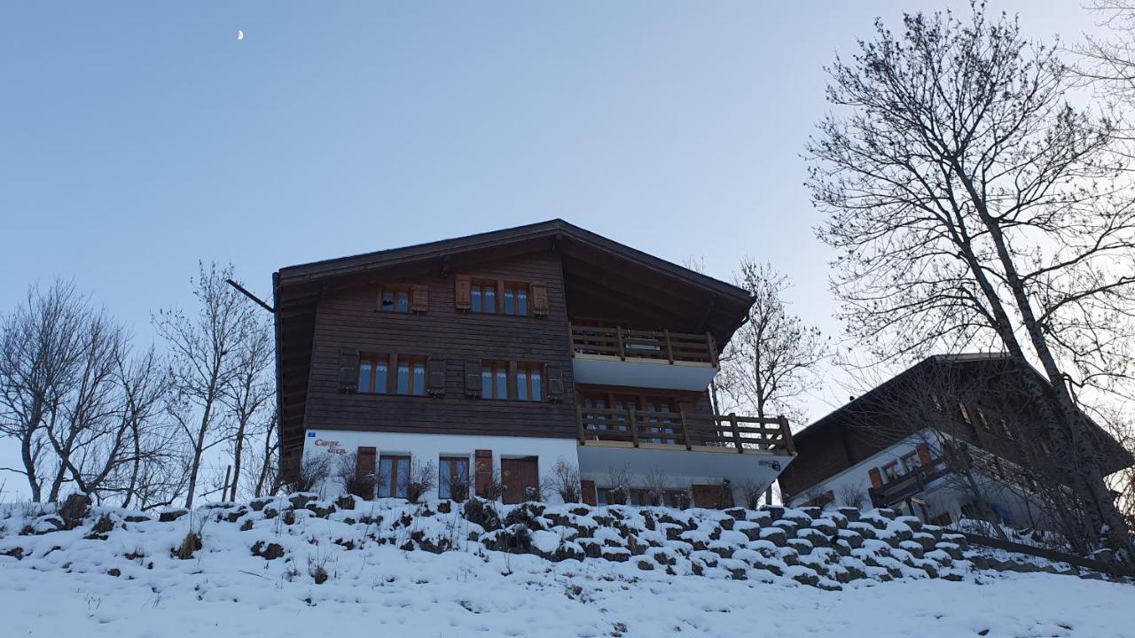 Chalet Carpe Diem Fieschertal エクステリア 写真